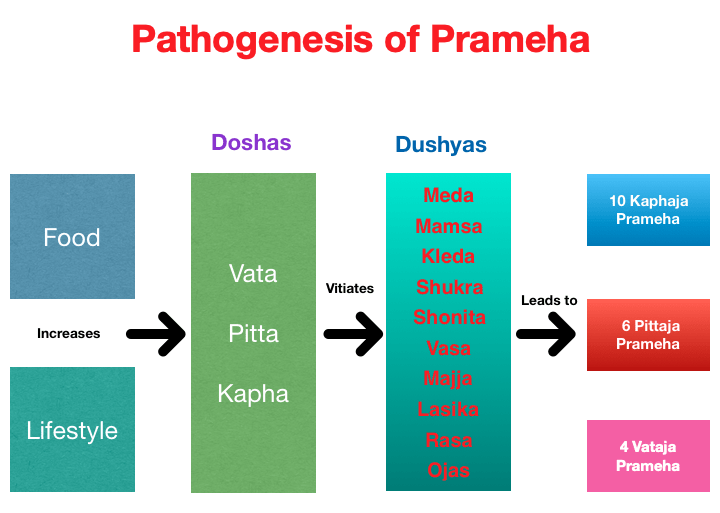 Pathogenesis of Prameha